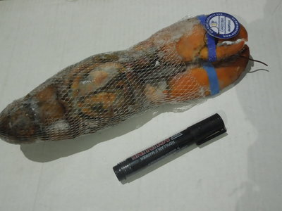 加拿大波士頓龍蝦 2014年新貨原裝進(jìn)口，大連綜研水產(chǎn)直供餐飲批發(fā)