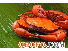東港市黃海水產(chǎn)品批發(fā)市場利源海鮮批發(fā)商行 供應優(yōu)質(zhì)鮮活梭子蟹與飛蟹，物美價廉