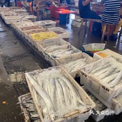 浙江松門水產品批發市場 東海之濱的水產貿易樞紐