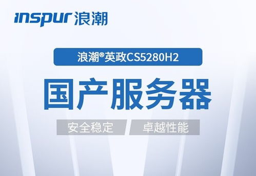 國產(chǎn)信創(chuàng)新選擇 浪潮CS5280H2定制型服務(wù)器深度解析與網(wǎng)絡(luò)技術(shù)服務(wù)價(jià)值